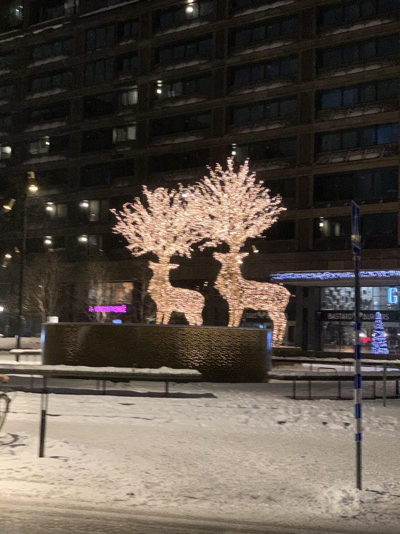 Christmas Reindeer